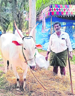 క్షేత్రం నుంచి క్షాత్రానికి! 3