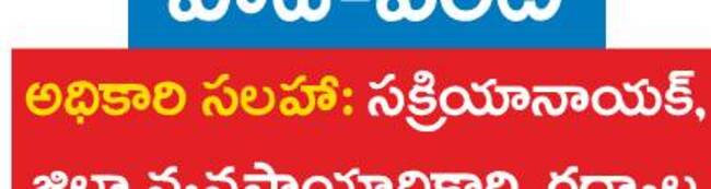 సేంద్రియ వ్యవసాయంతో లాభం 
2