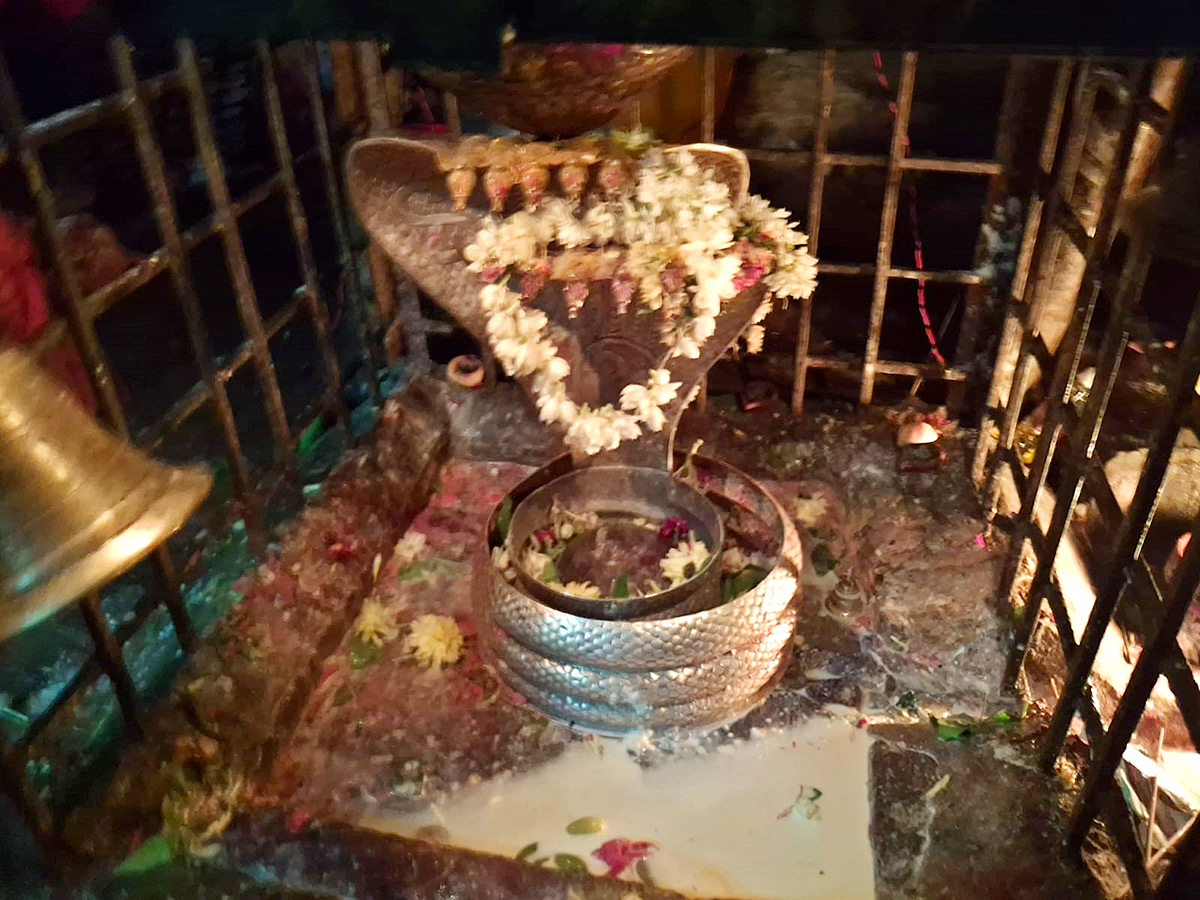 Saleshwaram Lingamaiah Swamy Jatara at Nallamala Hills10