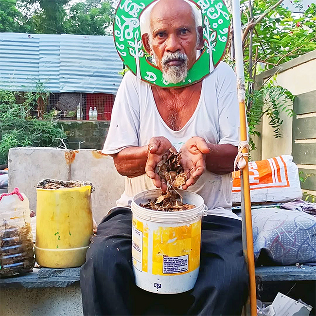 హరిత యాత్రలో అలసిన వనజీవి.. రామయ్య అరుదైన చిత్రాలు | vanajeevi ramaiah ...