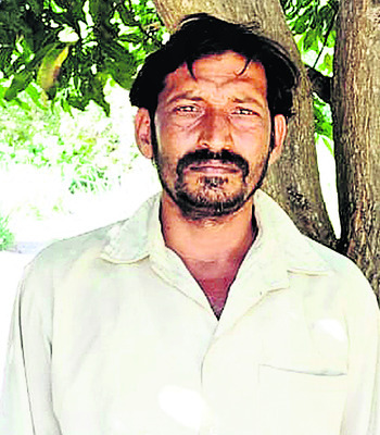 కాయ..కష్టం.. నేలపాలు! 2