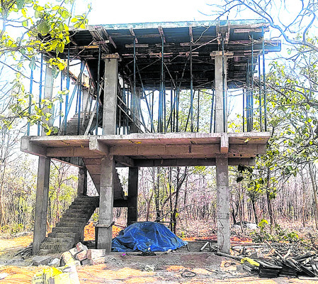 జీవవైవిధ్యం.. ఆహ్లాదం1