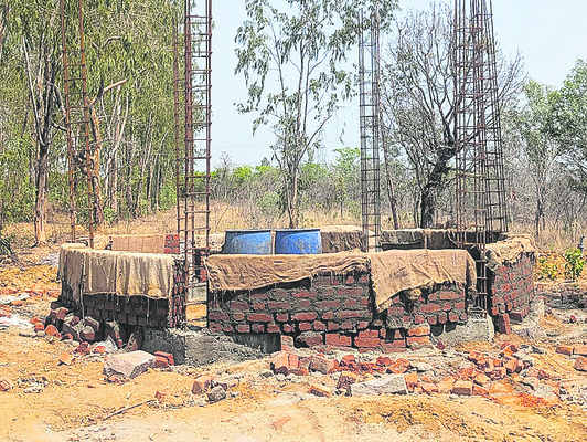 జీవవైవిధ్యం.. ఆహ్లాదం2