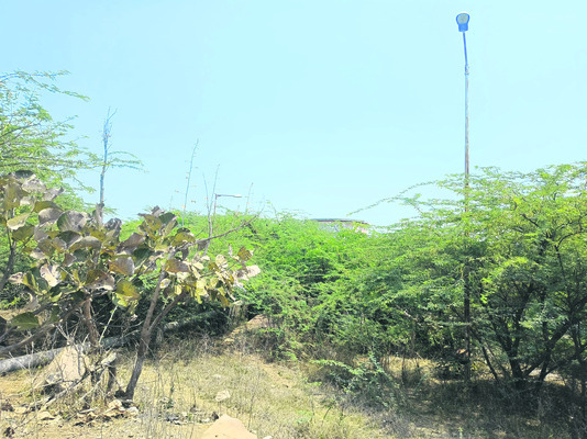 వినియోగంలోకి తెస్తే ప్రయోజనం3