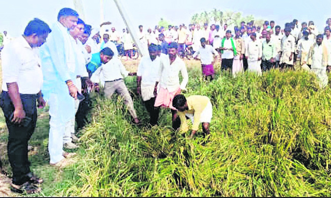 ఉత్సాహంగా క్రికెట్‌ పోటీలు3