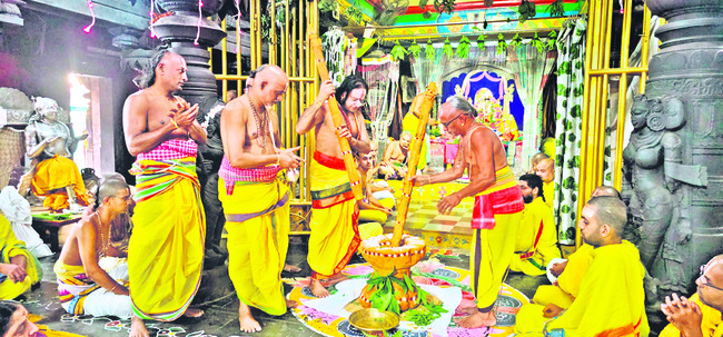 నేత్రపర్వం.. వసంతోత్సవం1