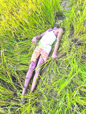 మక్కల ట్రాక్టర్ బోల్తా 1