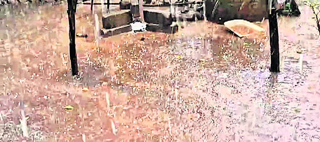 ఈదురు గాలులు.. వడగళ్ల వాన 2