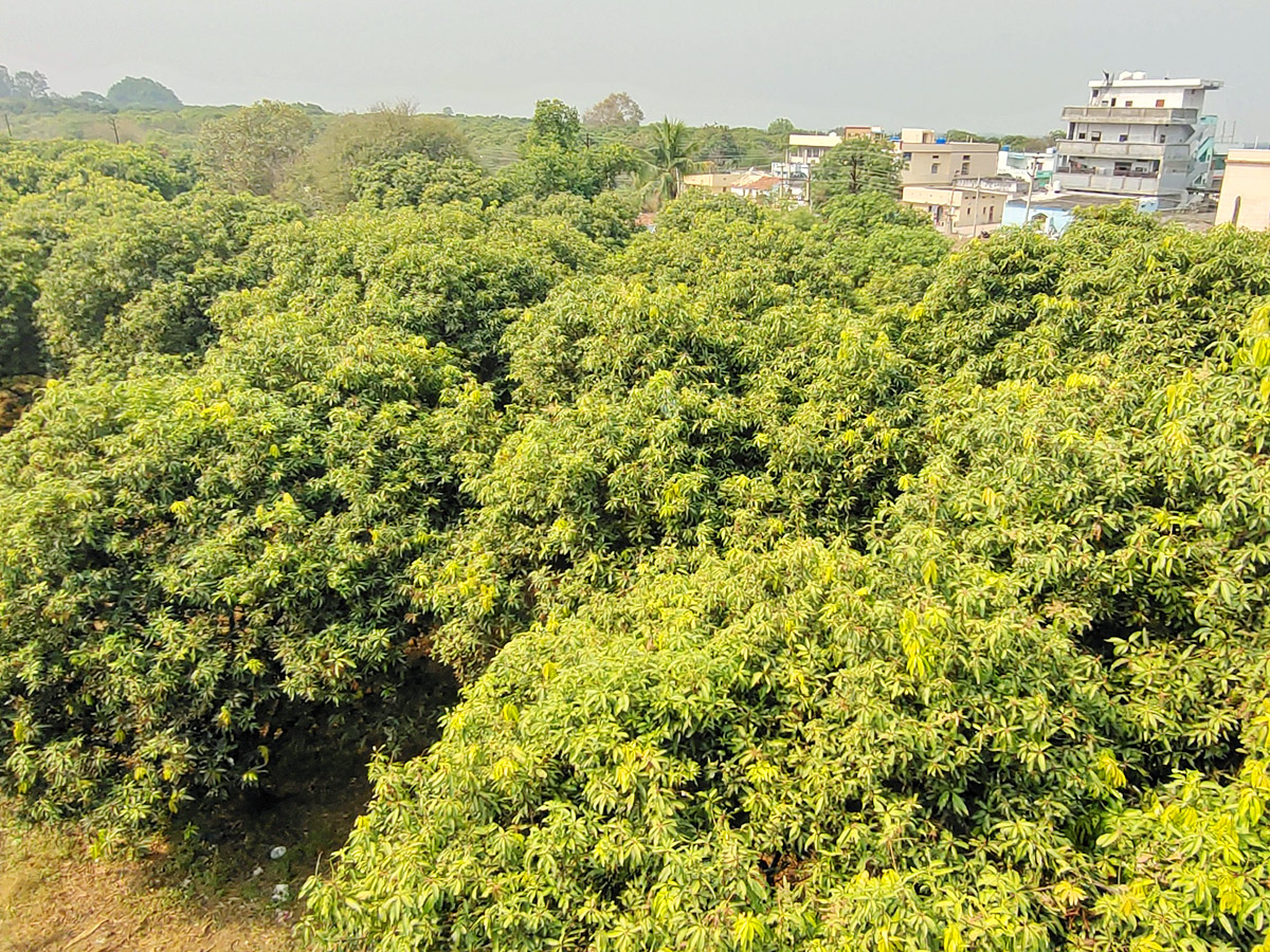 Best Photos of The Week in AP and Telangana Photo Gallery18