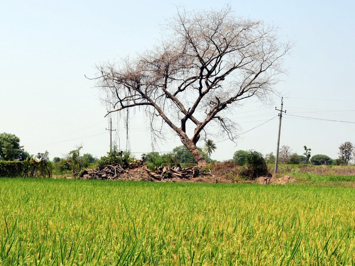 Best Photos of The Week in AP and Telangana Photo Gallery6