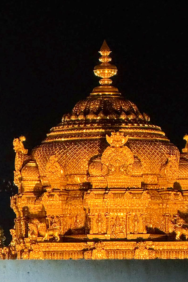 Varun Sandesh and his Wife Vithika Sheru visit to Tirumala Photos9