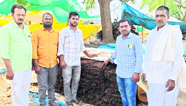 పొగాకు రైతుల్లో టెన్షన్‌1