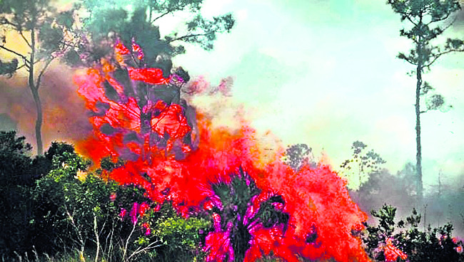 రేషన్‌ బియ్యం పట్టివేత 2
