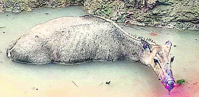 జలం కోసం జనంలోకి.. 1