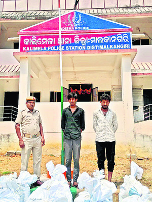 భారీగా గంజాయి పట్టివేత1