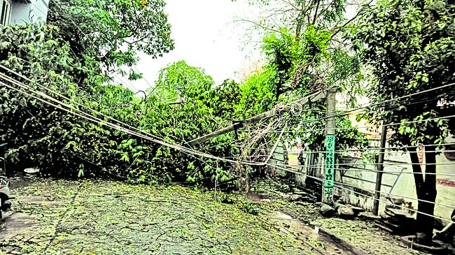 తెనాలిలో వడగండ్ల వాన 1