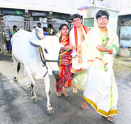 రాజన్నా.. నీవే దిక్కు1