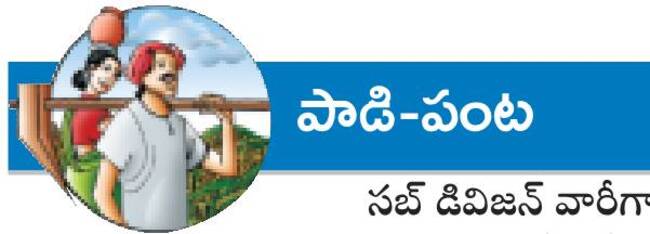 భూసారానికి నవధాన్య సాగు1