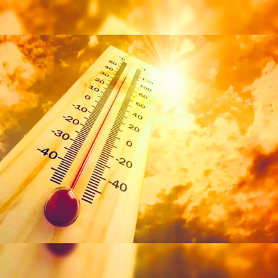 జిల్లాలో ఇదీ పరిస్థితి 
1