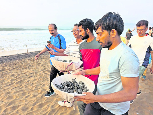 వెళ్లొస్తాం.. పెరిగి మళ్లొస్తాం.. 1