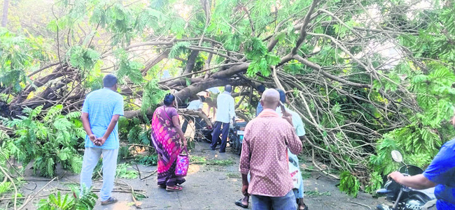 అకాల వర్షంతో అంతటా నష్టం1