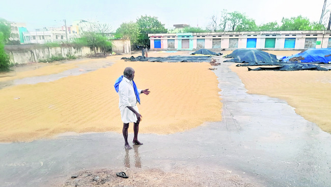 రైతుల కష్టం నీటిపాలు 4