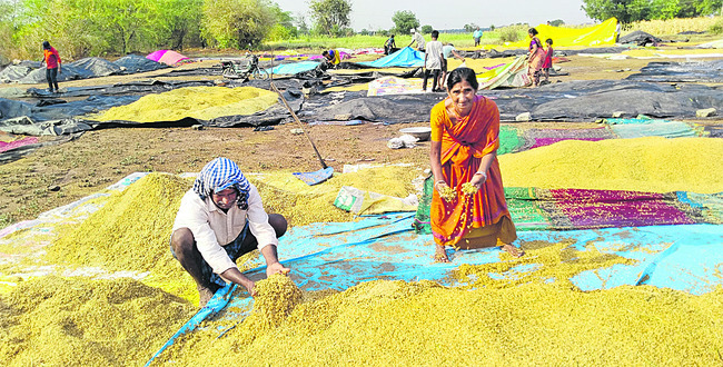 అధ్యాపకుడికి ప్రతిభా అవార్డు 1