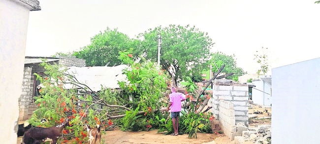 రైతుల కష్టం నీటిపాలు 5