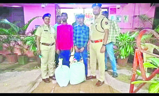 గంజాయి అక్రమ రవాణా 2