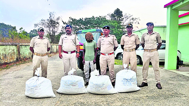 గంజాయి అక్రమ రవాణా 4