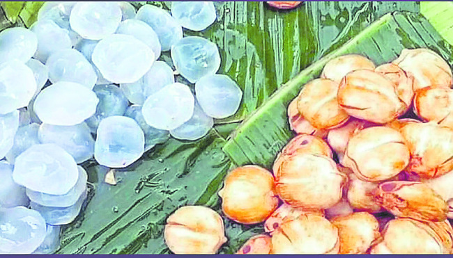 ఔషధ గుణం.. ఆరోగ్య ప్రదం 2