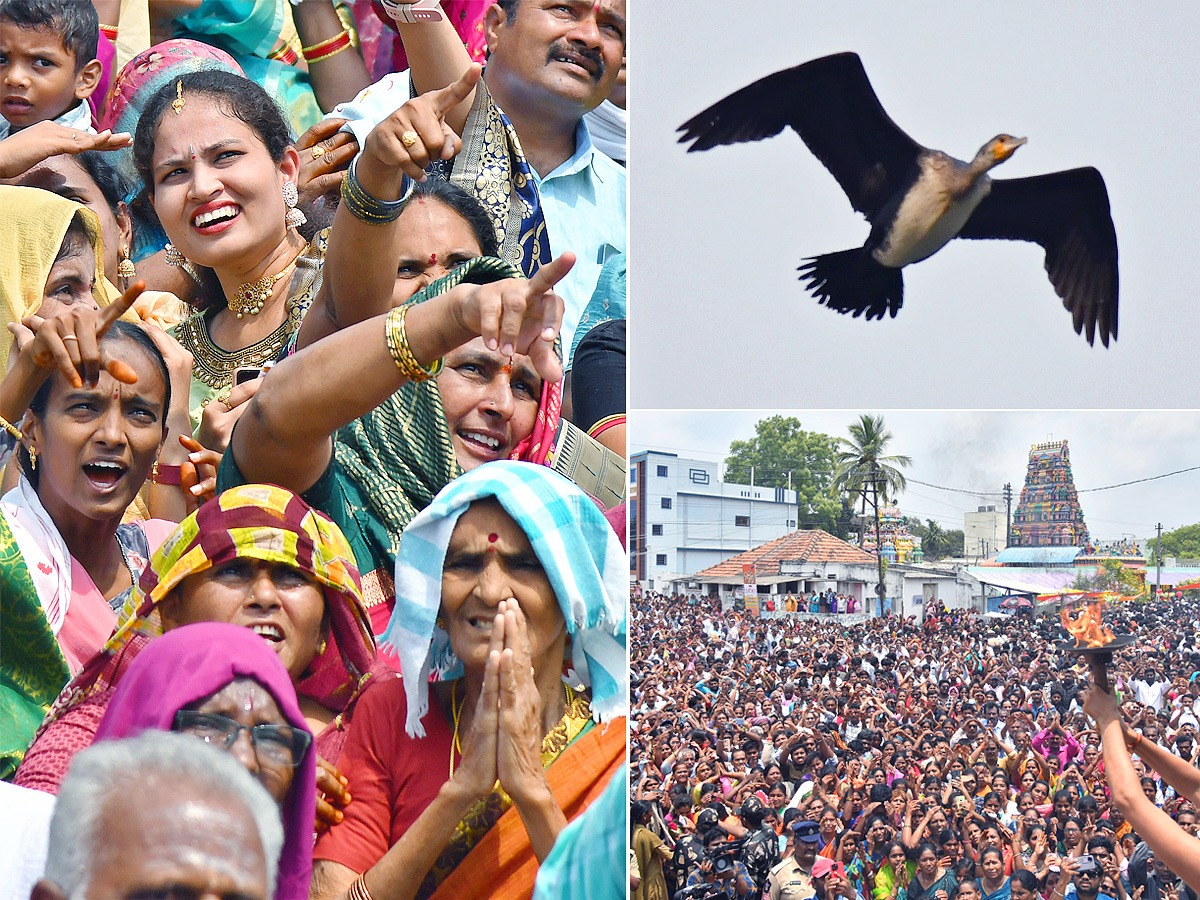 Garuda Bird At Raghunayaka Kalyanam at Prakasam District1