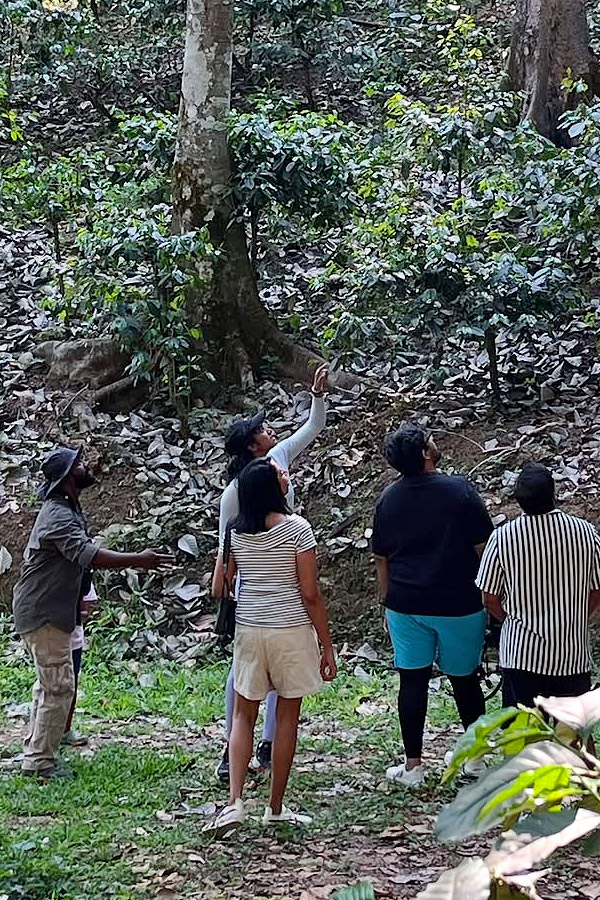 PV Sindhu outing with husband Venkata Datta Sai  in the Coorg coffee plantation Photos2