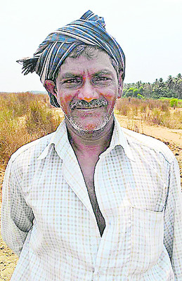 మొక్కజొన్న తోటలో.. ముసిరిన చీకట్లు6