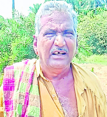 వరిసాగులో యంత్రాల జోరు 1