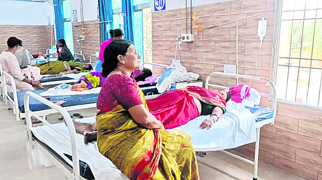 భక్తులపై తేనెటీగల దాడి 1