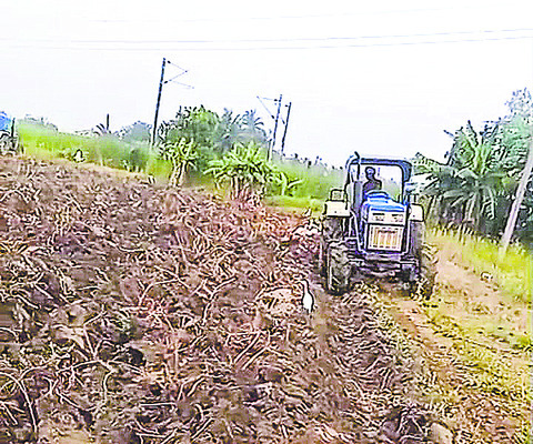 పట్టు వదిలేస్తున్నారు1