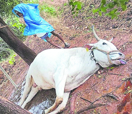 పోగొట్టుకున్న సెల్‌ఫోన్లు రికవరీ 1