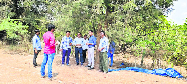 శ్రీకాకుళం3