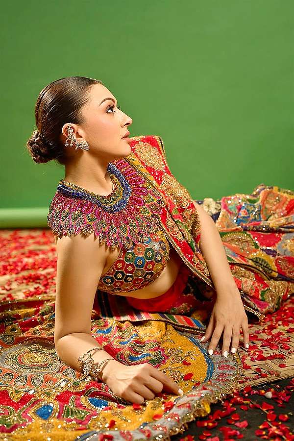 Actress Hansika shines In a colorful saree PHotos8