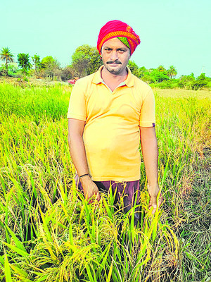 10 రోజులకు కోసేదుండే.. 1