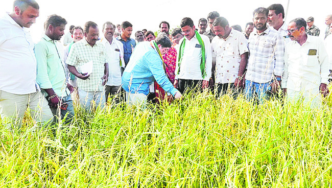 రైతులను ఆదుకుంటాం 1