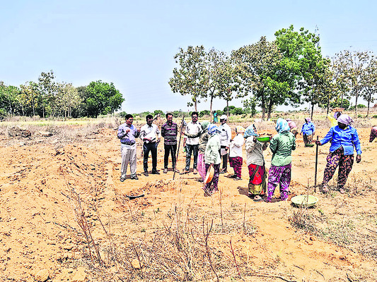 ఉపాధి హామీ పనుల పరిశీలన1