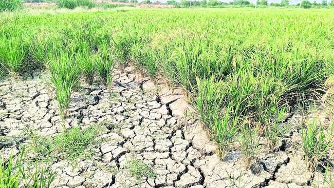 ఫలించిన రైతుల ఆందోళన 1