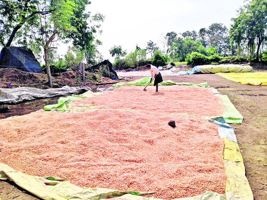 నష్టం మిగిల్చిన వాన..6