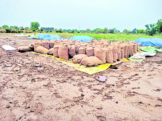 అకాల వర్షంతో రైతన్నకు వెతలు 2