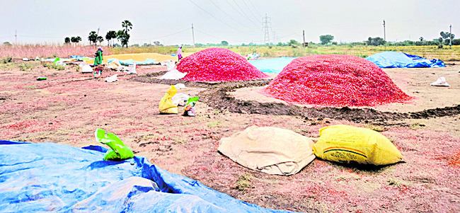 అకాల వర్షంతో రైతన్నకు వెతలు 1