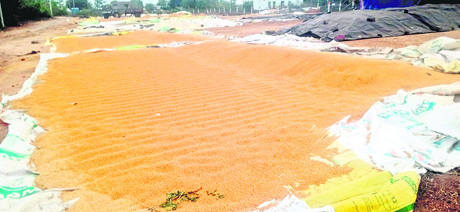 నష్టం మిగిల్చిన వాన..4