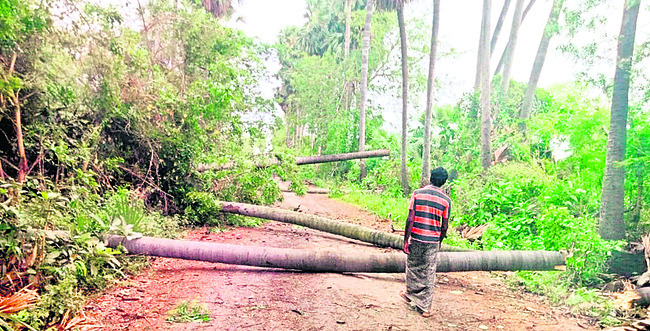 ఎన్‌బీకేఆర్‌ ఐఎస్టీలో  జపాన్‌ బృందం పర్యటన 1