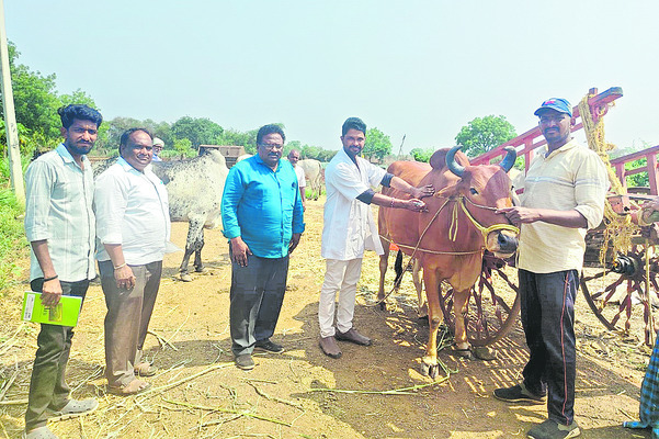 నేడు కొడంగల్‌కు  మంత్రి పొంగులేటి రాక 
2